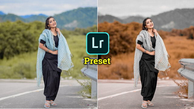Lightroom Mobile Premium Presets Free Download