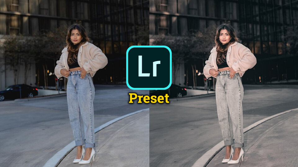 Bhaskar Editing Zone Preset Download