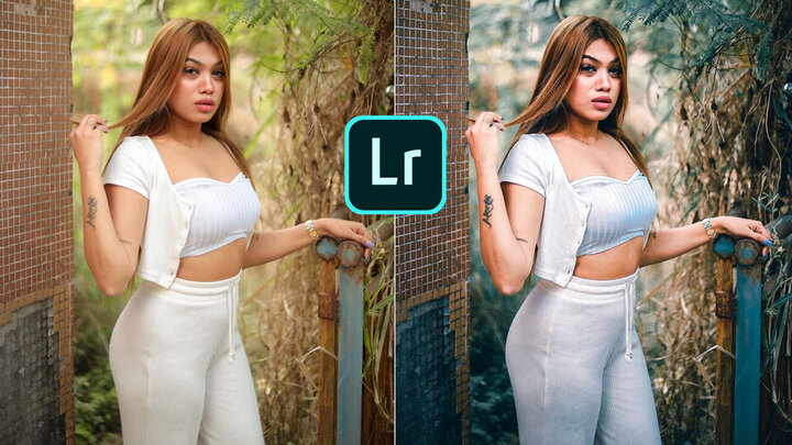 Raghav Editz Blue Preset
