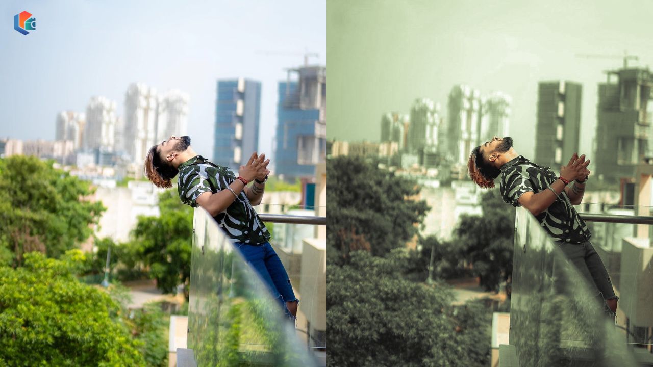 Moody Dark Green Lightroom Preset Free Download