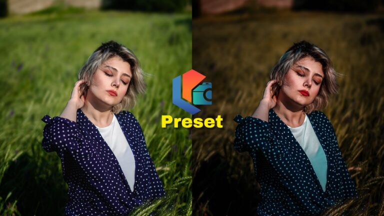 Moody Dark Lightroom Preset