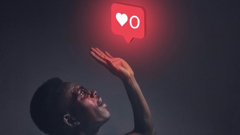 Followers Insights